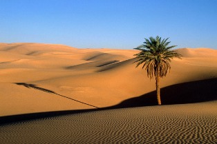 desert